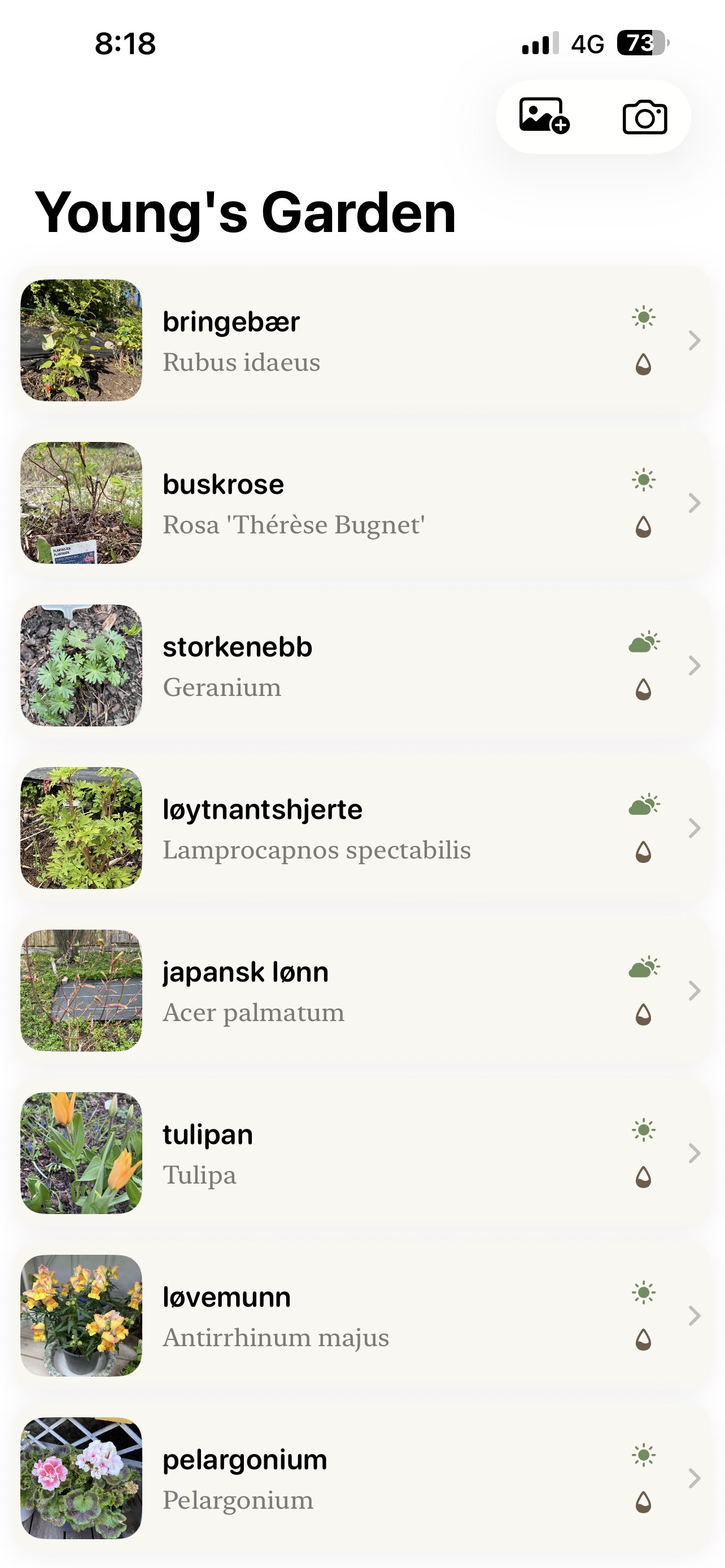 Young's Garden plant list screen